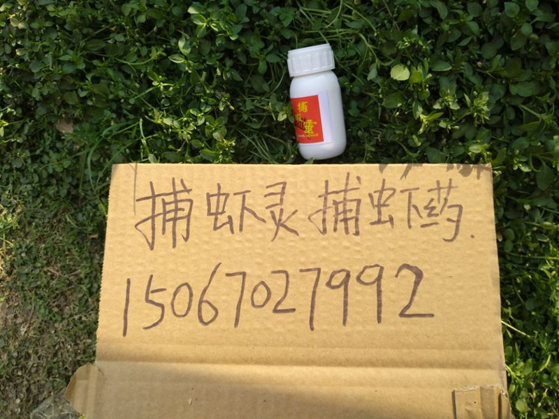 捕虾灵捕虾药 捕虾灵捕虾药