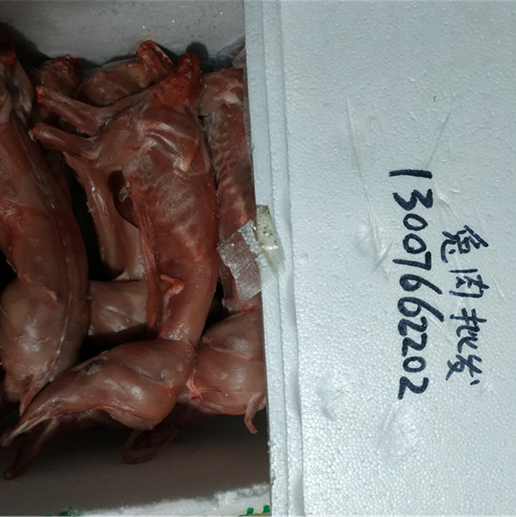 白条兔2003_正方形3.jpg