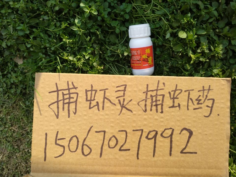 捕虾灵捕虾药 捕虾灵捕虾药