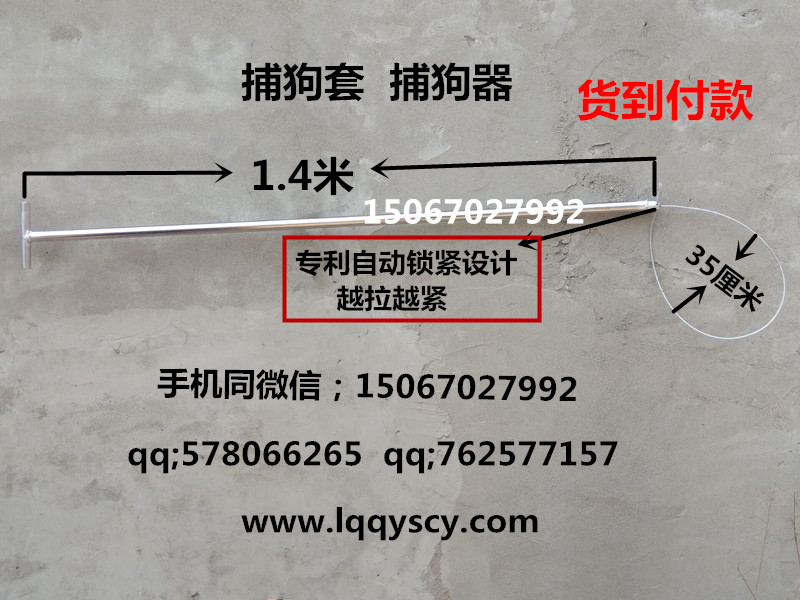 狗套8_副本150.jpg