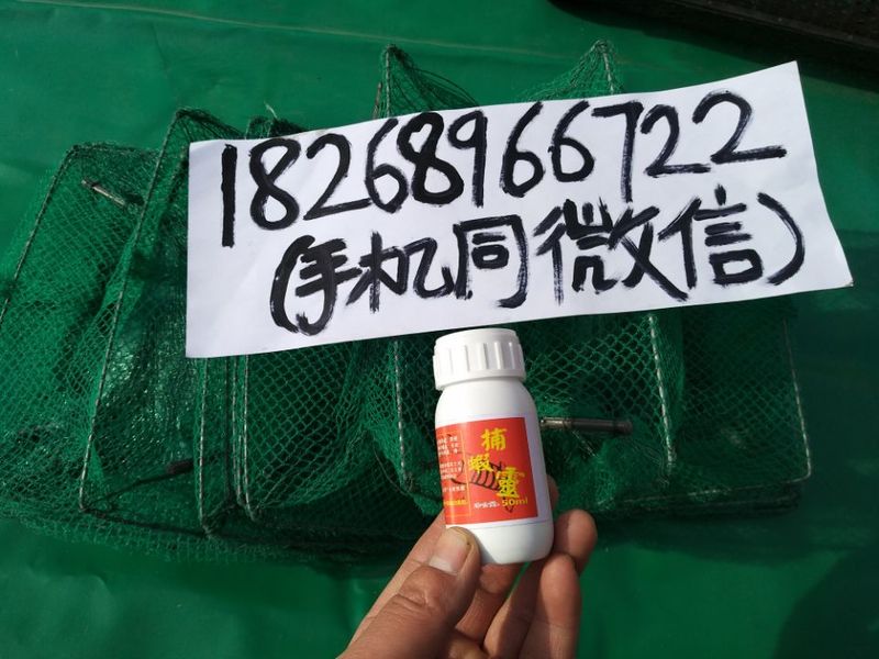 捕虾灵的182689.jpg