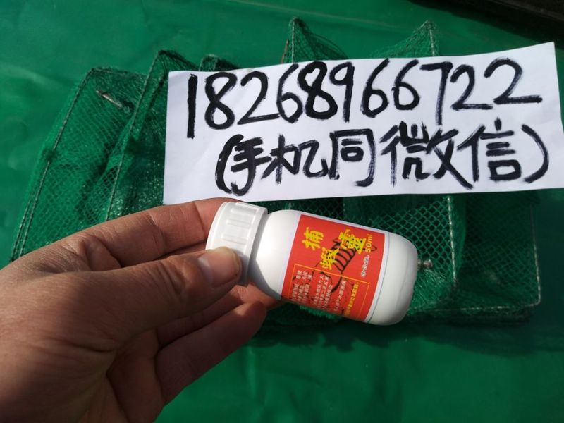 捕虾灵的1826896.jpg