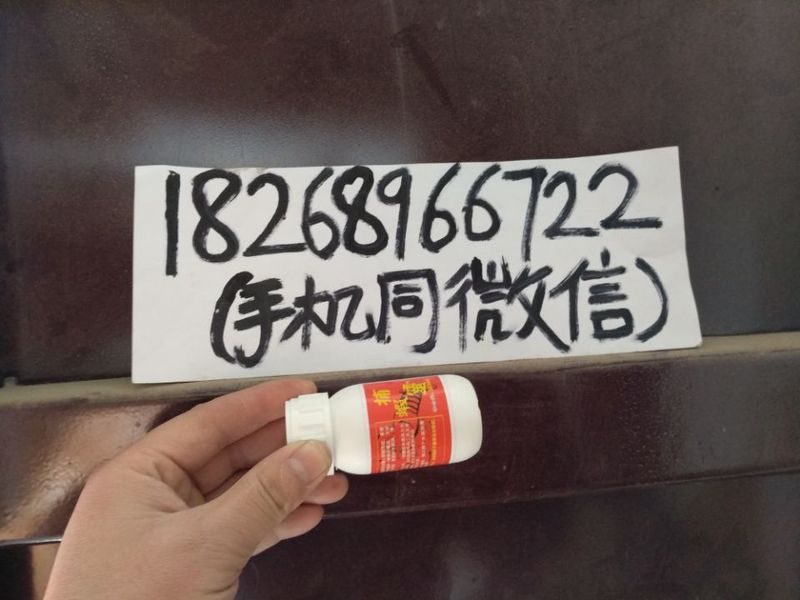 捕虾灵的1826.jpg