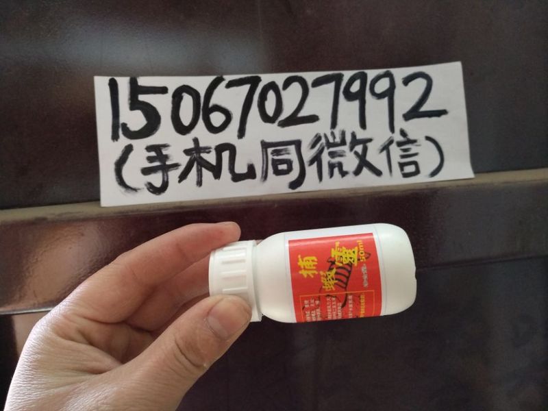 捕虾灵的1506.jpg