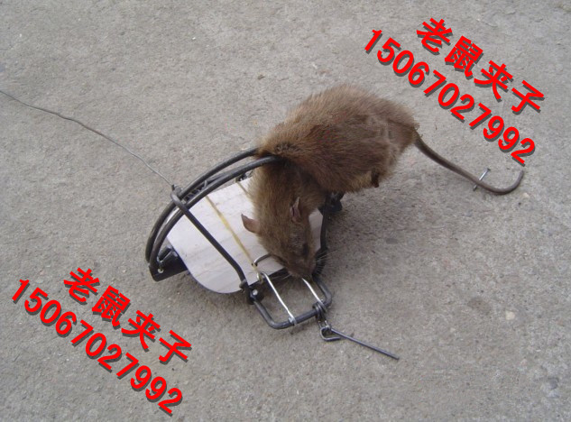 ABUIABACGAAgrsCUkAUo9pKnyQUw_QQ41AM.jpg