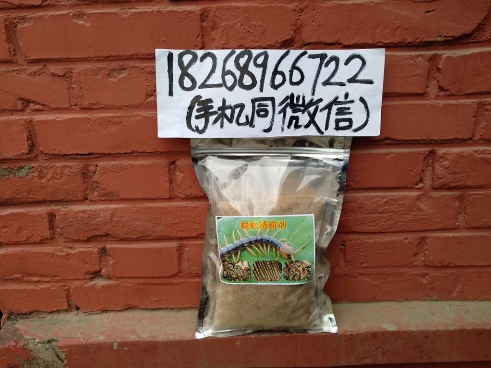 第4代蜈蚣引诱剂蜈蚣诱捕剂示例图3